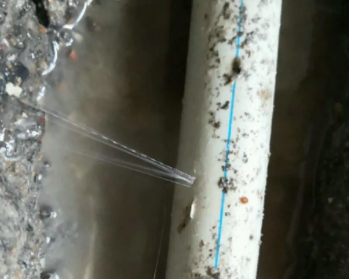 淳化卫生间测漏水多少钱