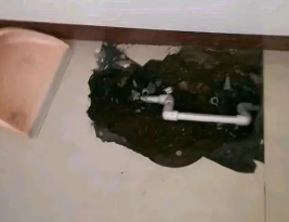 淳化卫生间测漏水多少钱